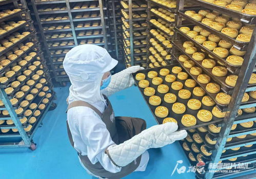 中秋佳節將至，烏魯木齊食品與羽絨制品企業雙線并進迎忙季