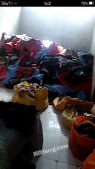 河南全面啟動羽絨制品回收與加工產業升級計劃